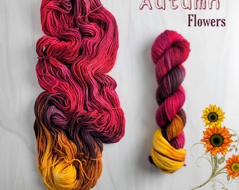 Könnte beinhalten: Zwei Knäuel Garn in einem Farbverlauf von Rot, Lila und Gelb. Das Garn ist in einer lockeren Spule und einem gedrehten Seil angeordnet. Der Text "Autumn Flowers" ist in weißen Buchstaben auf weißem Hintergrund geschrieben.
