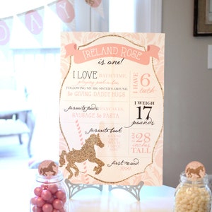 Birthday facts photo poster Pink and gold carousel party First birthday Birthday stats image 1