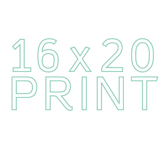 Make any print 16x20 Il_570xn