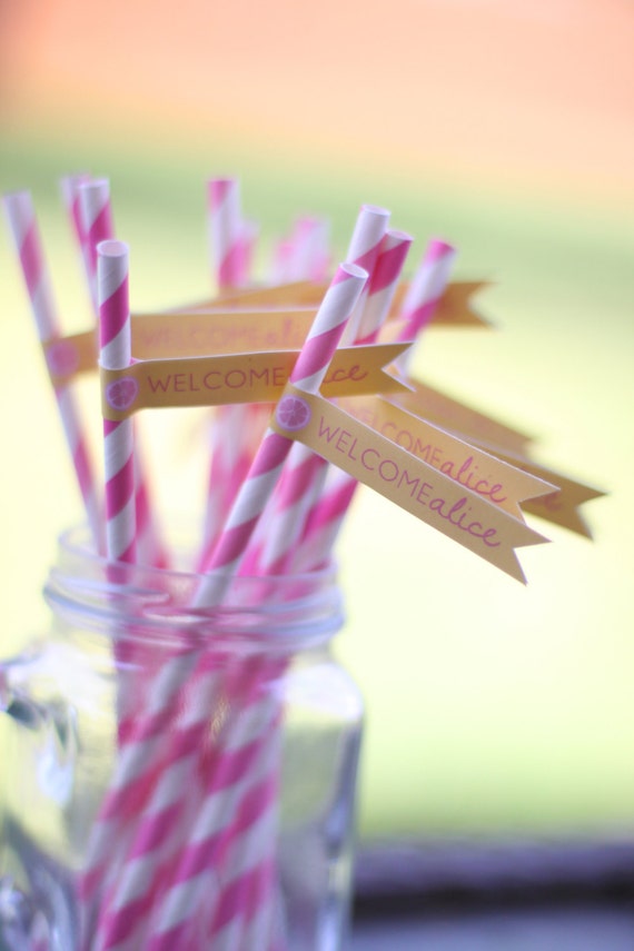 Pink and yellow straw flags - Sunshine and Lemonade party - You are my sunshine - Baby shower - Birthday party - Customizable - Printable Il_570xn