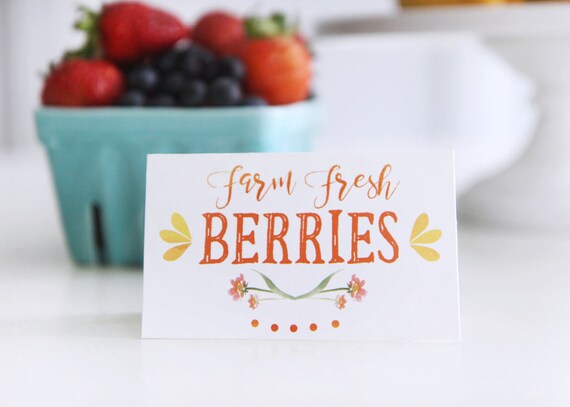 Printable You are My Sunshine party food labels - Food tents - Buffet cards - Sunshine lemonade birthday - Bridal Baby shower - Customizable Il_570xn