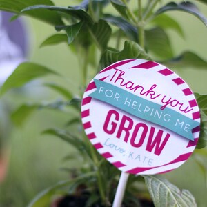 Teacher Appreciation Sign Printable Thank You for Helping Me Grow ...