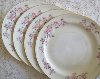 Set of 4 Dinner Plates. Floral China Plates. Homer Laughlin Apple Blossom. Shabby Chic Dishes. Dinnerware, Alice in Wonderland, Tea Party