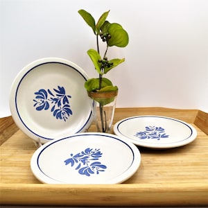 Pfaltzgraff Yorktowne Salade platen Vintage Blauwe Flower Steengoed plaat set van 7