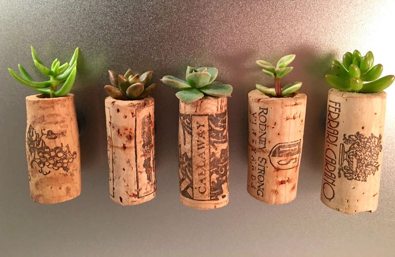 Succulent Wine Cork Favors with Cuttings