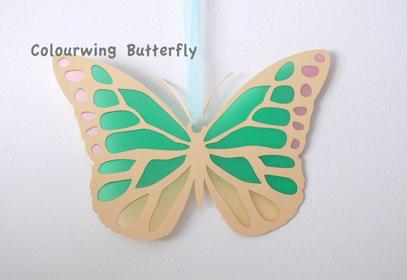 Download Beautiful Colourwing Butterfly 3d SVG file | Etsy
