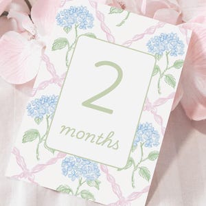 Baby Milestone Cards Digital Baby Month Cards Girl Hydrangea Floral Design Digital Download Template for Baby Girl Month Cards New Baby Card