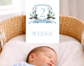 Mallard Duck Milestone Cards Baby Boy Month Cards Newborn Gift Baby Shower Gift Month Sign New Baby Printable Month Sign Duck Theme