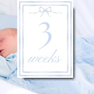 Milestone Cards for Baby Boy Newborn Bassinet Card Gift Baby Shower Gift Monthly Cards Newborn Cards Sprinkle Gift Printable Month Cards