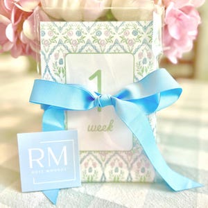 Cartes numériques Jalon Cartes bébé fille nouveau-né fille du mois Cartes de la semaine Style grand-millénaire