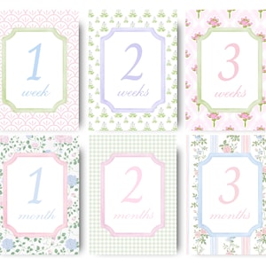 Biglietti floreali per i mesi delle bambine, modello Grandmillennial, biglietti per i mesi delle bambine, cartelli stampabili per i mesi delle bambine, accessorio per foto di neonati