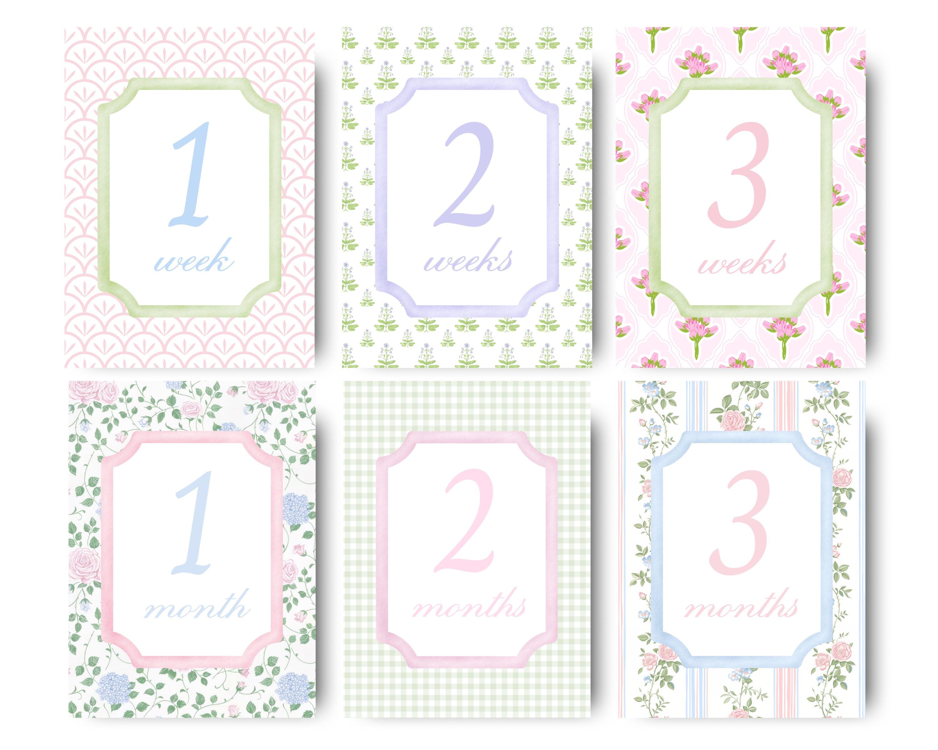 Floral Milestone Cards Baby Girl Month Card Grandmillennial Pattern ...
