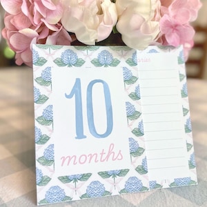 Printed Milestone Cards Baby Girl Blue Hydrangea Design Monthly and Weekly Cards