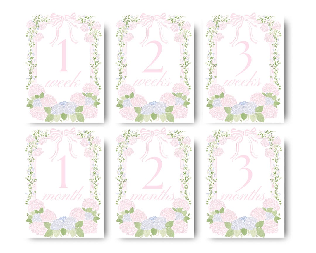 Month Sign Milestone Cards Digital Download Newborn Baby Girl Month ...