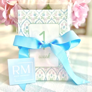 Digital Milestone Cards Baby Girl Newborn Girl Month Cards Week Cards Grandmillennial Style