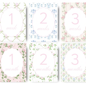 Girl Monthly Milestone Cards Floral Theme Digital Newborn Baby Girl Month Cards Week Card Grandmillennial Style Printable Month Cards Floral