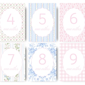 Printed Monthly Milestone Cards Floral Theme Digital Newborn Baby Girl Month Cards Week Card Grandmillennial Printable Month Cards Floral