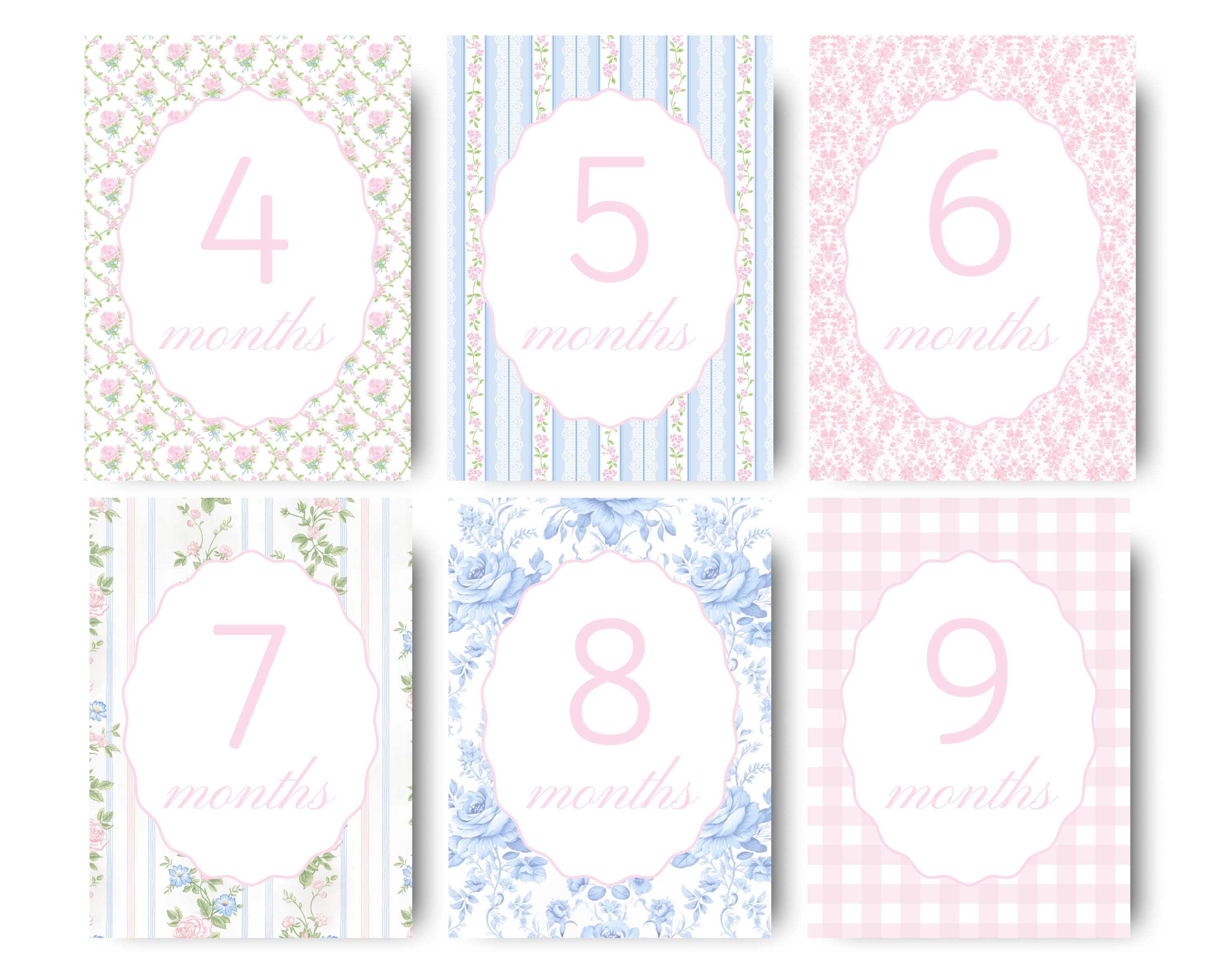 Baby Girl Milestone Cards Floral Theme Digital Newborn Baby Girl Month ...