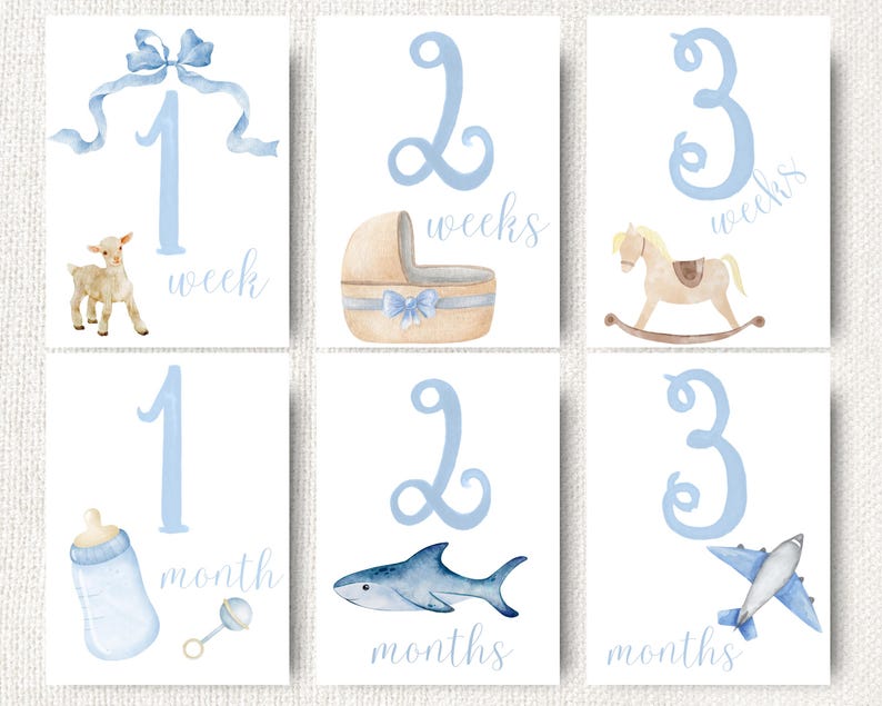Milestone Cards Blue Baby Boy Milestones Printable Month Cards Newborn ...