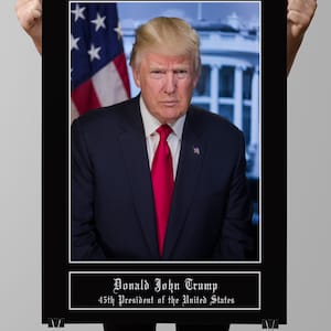 President Donald Trump Poster (PRESIDENTIAL-19)
