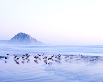 Surf Photography, Landscape Photography, Wave Photography, Morro Bay, San Luis Obispo, Ocean Photography, California - "Morro Bay Blue Hour"