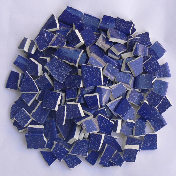 Navy/Dark Blue Speckled Mosaic Plate Tile Pieces Set of 160 plus HTF