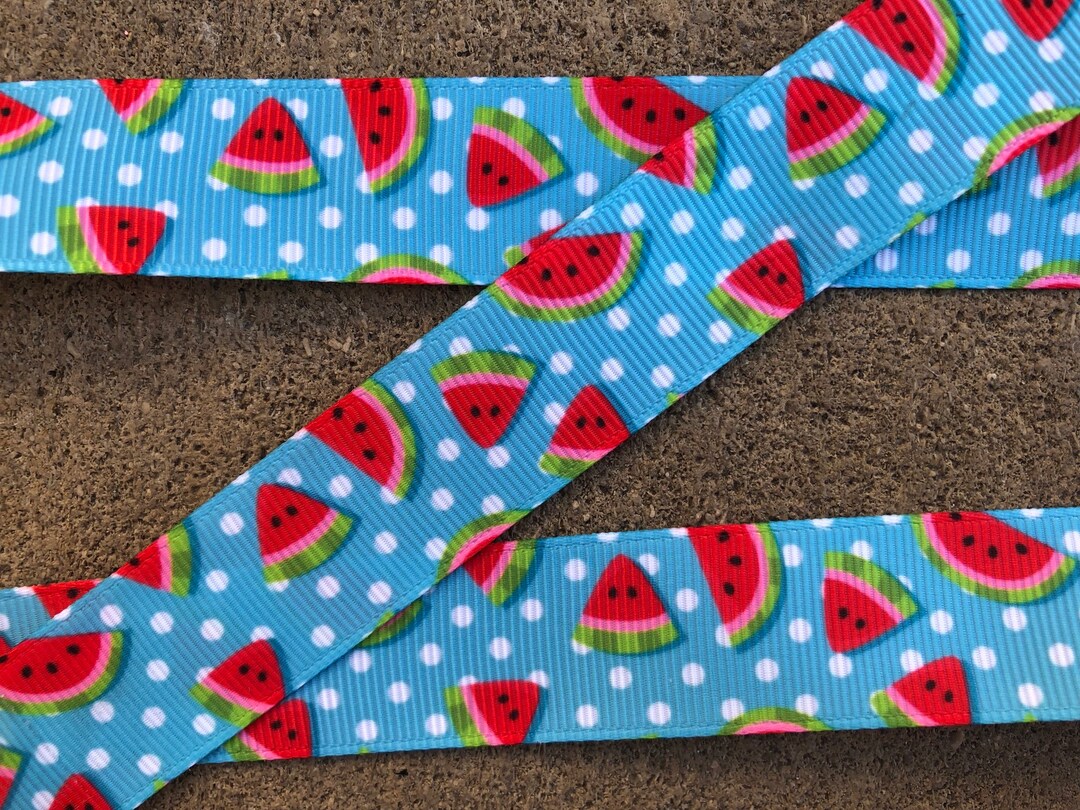 5 Yards 7/8 Pink and Blue Watermelon Ribbon Grosgrain Etsy