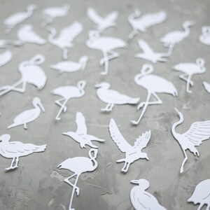 May include: A selection of white paper cutouts depicting different bird species, such as flamingos, pelicans, and cranes, arranged on a grey surface. The birds are shown in various poses, some with wings extended, others standing or in flight.