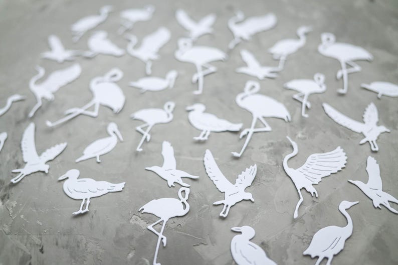 May include: A selection of white paper cutouts depicting different bird species, such as flamingos, pelicans, and cranes, arranged on a grey surface. The birds are shown in various poses, some with wings extended, others standing or in flight.
