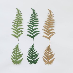 Foglie di felce fustellati - foglie verdi scrapbooking - arredamento dell'album di nozze della foresta - bosco fustellato botanica giornale carta che fa forniture