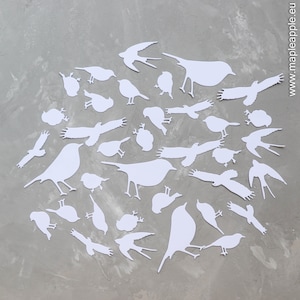 Puede incluir: Una colección de recortes de pájaros de papel blanco en varias poses, dispuestos sobre un fondo gris texturizado. Los pájaros varían en tamaño y forma, creando una exhibición dinámica y artística. La dirección del sitio web www.mapleapple.eu es visible.