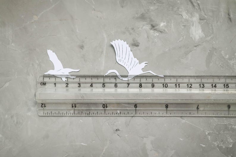 May include: Two white paper cutouts of birds in flight are positioned on a grey surface next to a clear ruler. The ruler shows measurements in centimetres. The birds are approximately 2 to 8 cm in length.