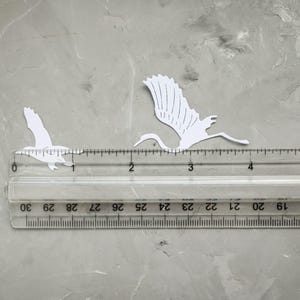 May include: Two white paper cut-out bird silhouettes, one in flight, are positioned near a ruler. The ruler shows measurements in centimetres. The birds are on a gray surface, creating a minimalist aesthetic. The birds are approximately 7.6 cm in length.
