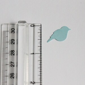 May include: A light blue bird-shaped paper cutout next to a clear ruler. The ruler is marked in centimetres, with the bird positioned near the 2.5 cm mark. The bird is approximately 2.5 cm in length. The background is white.