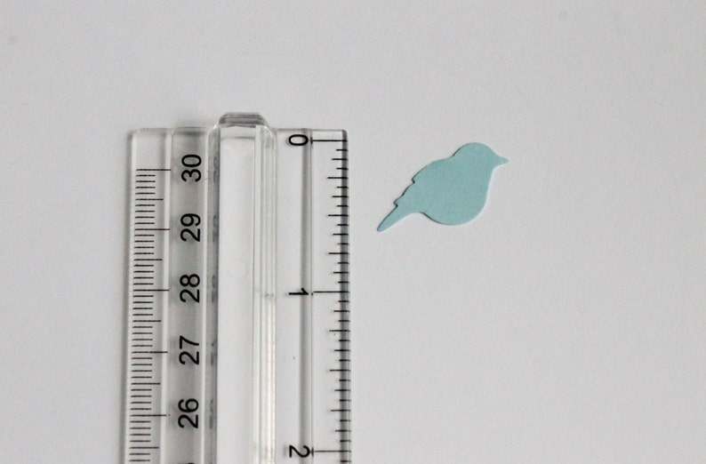 May include: A light blue bird-shaped paper cutout next to a clear ruler. The ruler is marked in centimetres, with the bird positioned near the 2.5 cm mark. The bird is approximately 2.5 cm in length. The background is white.