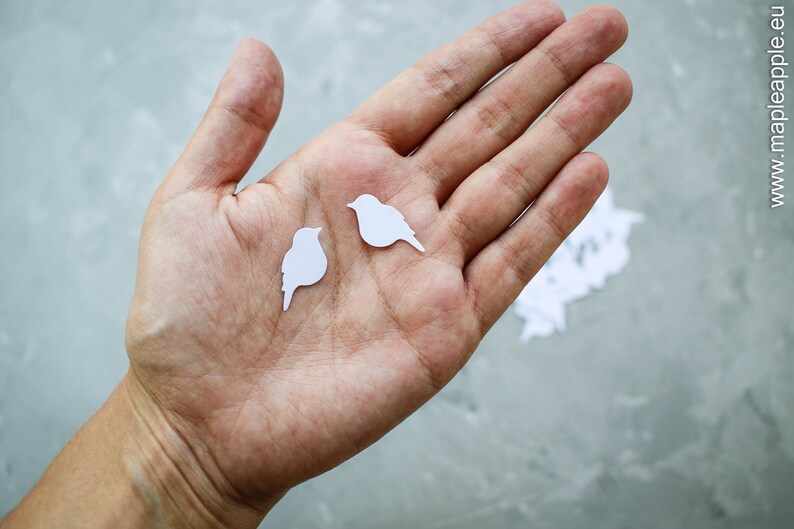May include: Two small, white paper bird cutouts are held in an open hand. The birds have simple, stylized shapes with a beak and tail. The background is a mottled grey surface. The website address www.mapleapple.eu is visible in the upper right corner.