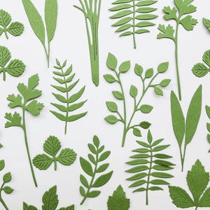 May include: A collection of green paper leaves in diverse forms, such as ferns, berries, and long, thin leaves. The leaves are displayed on a white backdrop, forming a natural, botanical arrangement.