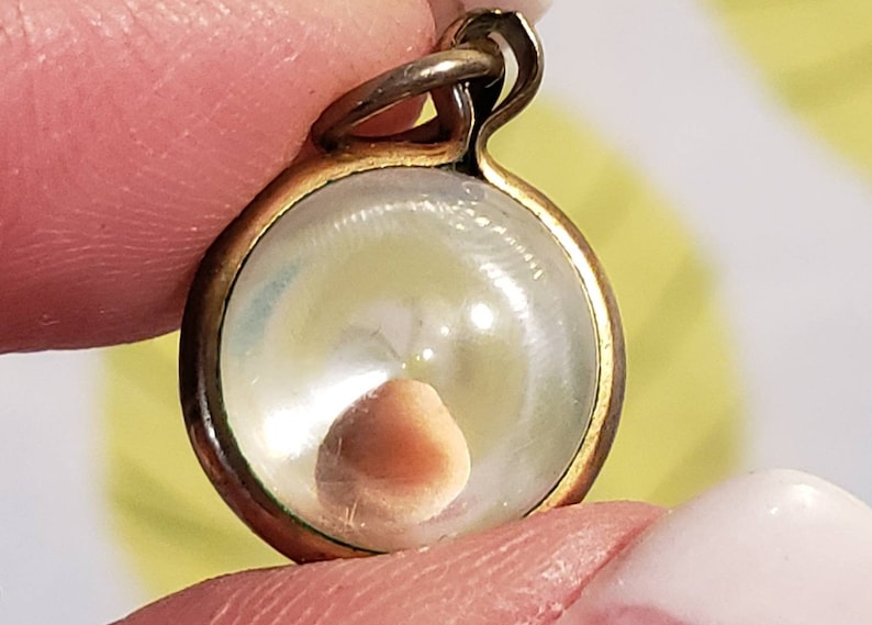 Vintage 1950s 1960s Round Charm with Real Seed Inside