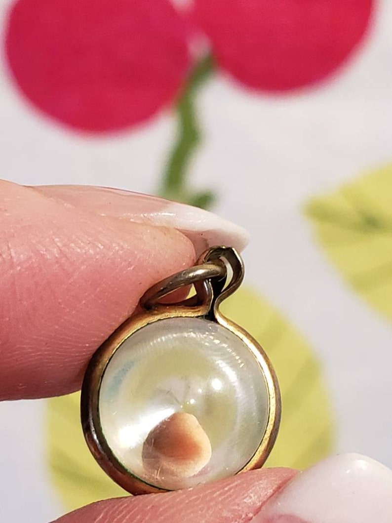 Vintage 1950s 1960s Round Charm with Real Seed Inside