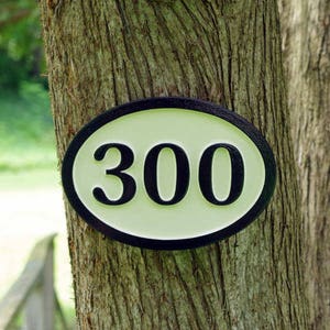 Your Own House Number and Colors-  Custom Carved Sign (HN36)