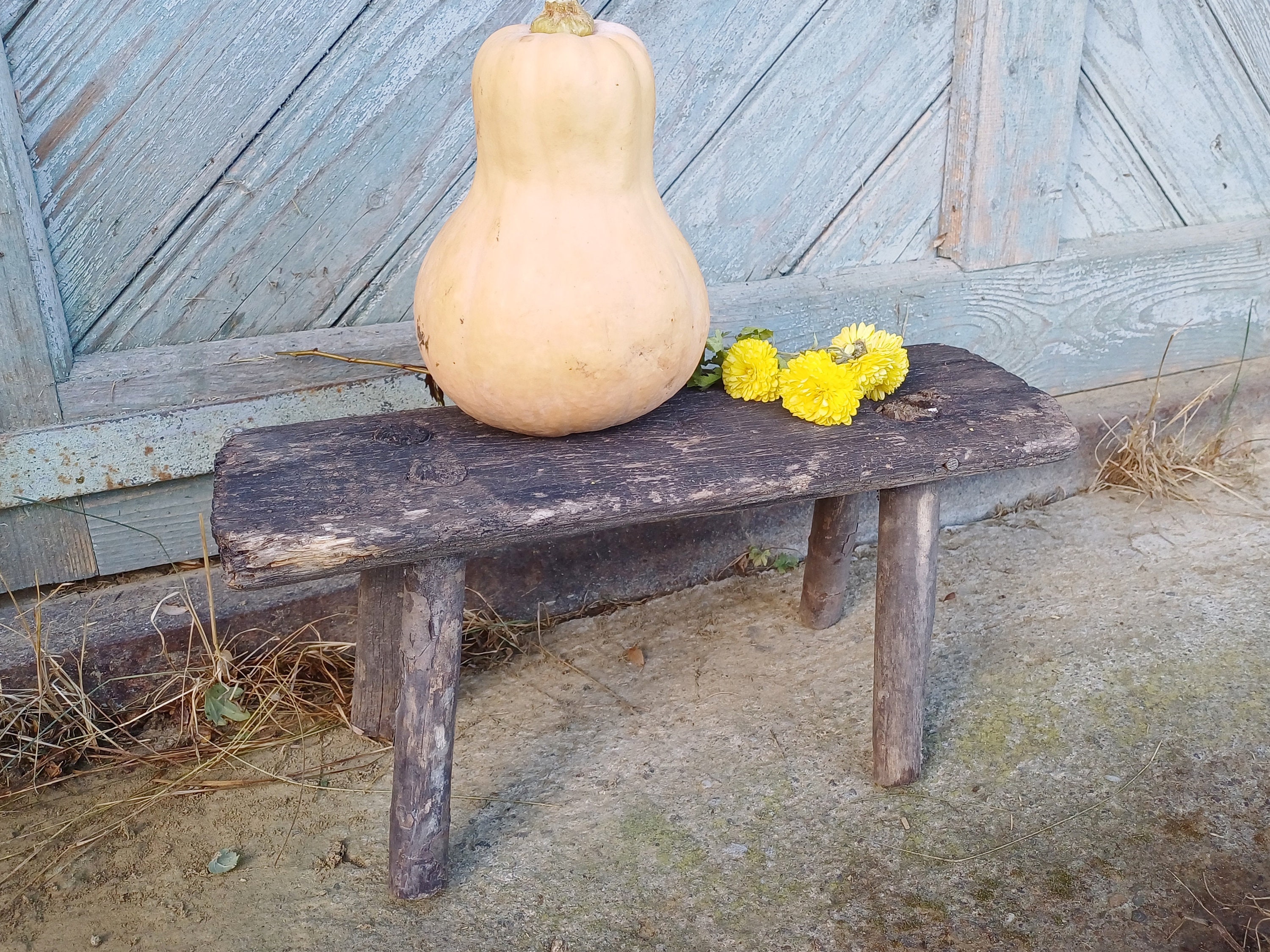 Primitive Milking Stool Small Bench Rustic Wood Bench Vintage Wooden ...