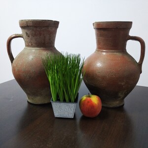 May include: Two terracotta pitchers with a green potted plant and a red apple on a dark wood table.