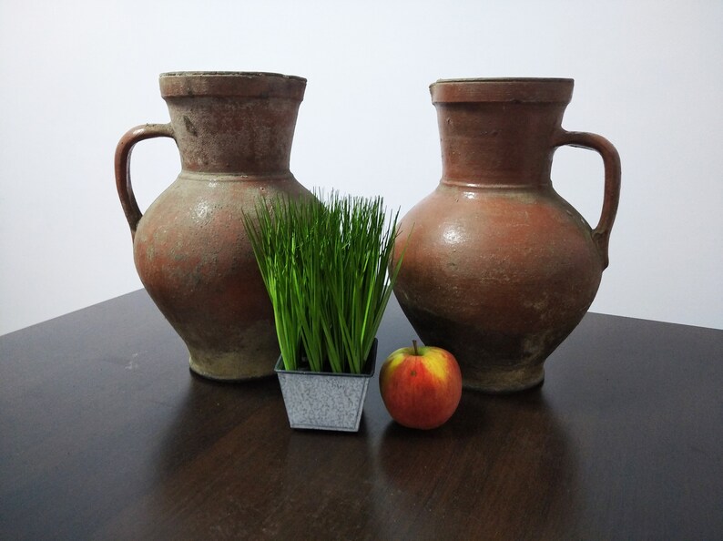 May include: Two terracotta pitchers with a green potted plant and a red apple on a dark wood table.