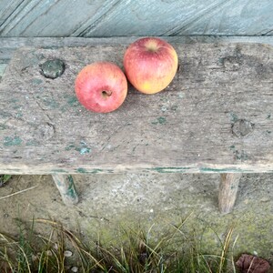 Puede incluir: Dos manzanas rojas sobre un taburete de madera r&uacute;stico con pintura verde. El taburete tiene dos patas y est&aacute; sentado sobre una superficie de tierra y hierba.