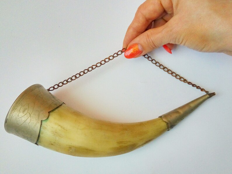 Vintage Bull Horn Real Horn Wall Decor Medieval Viking Etsy