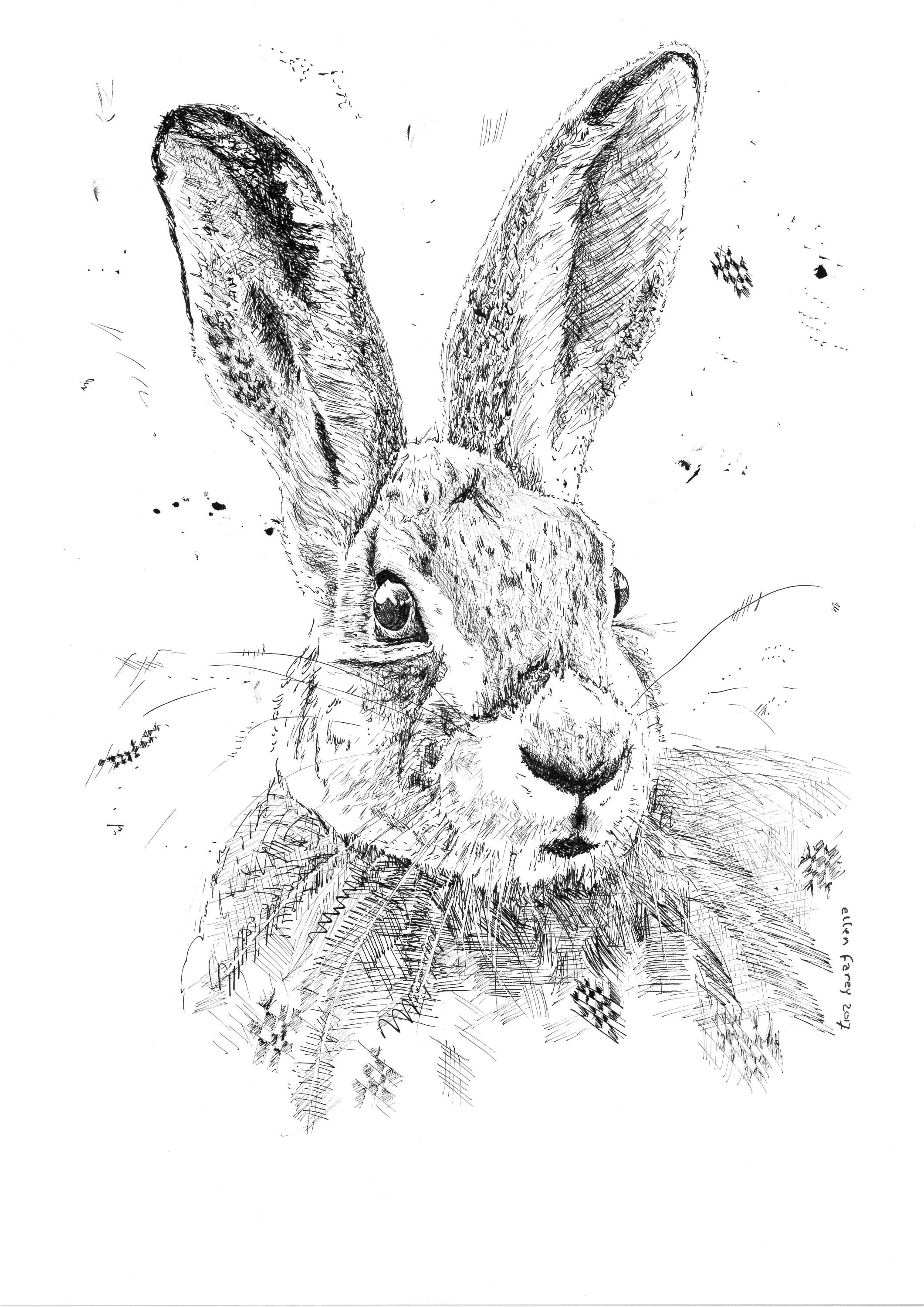 Original pen and ink drawing of a rabbit Etsy