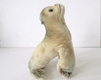 Vintage Steiff Mohair Seal Robby Spotted & Sitting Seehund Hard Stuffed West German Collectible Toy, Circa 1960s, 6"