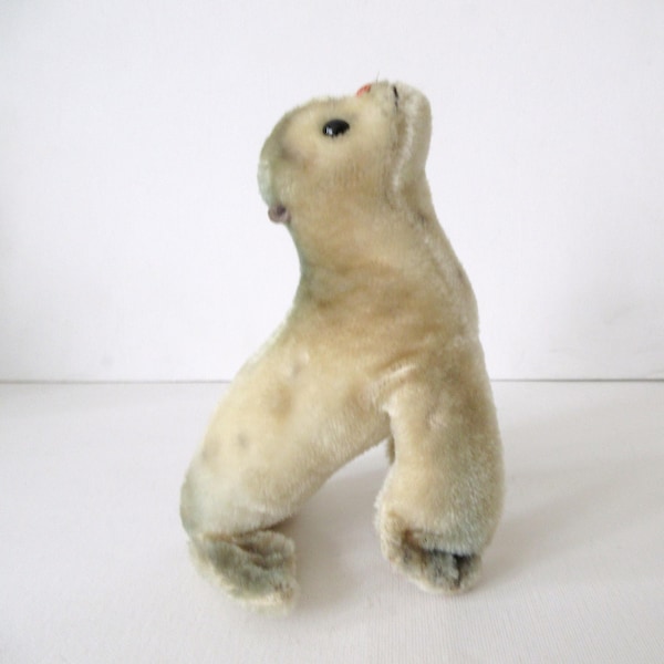 Vintage Steiff Mohair Seal Robby Spotted & Sitting Seehund Hard Stuffed West German Collectible Toy, Circa 1960s, 6"