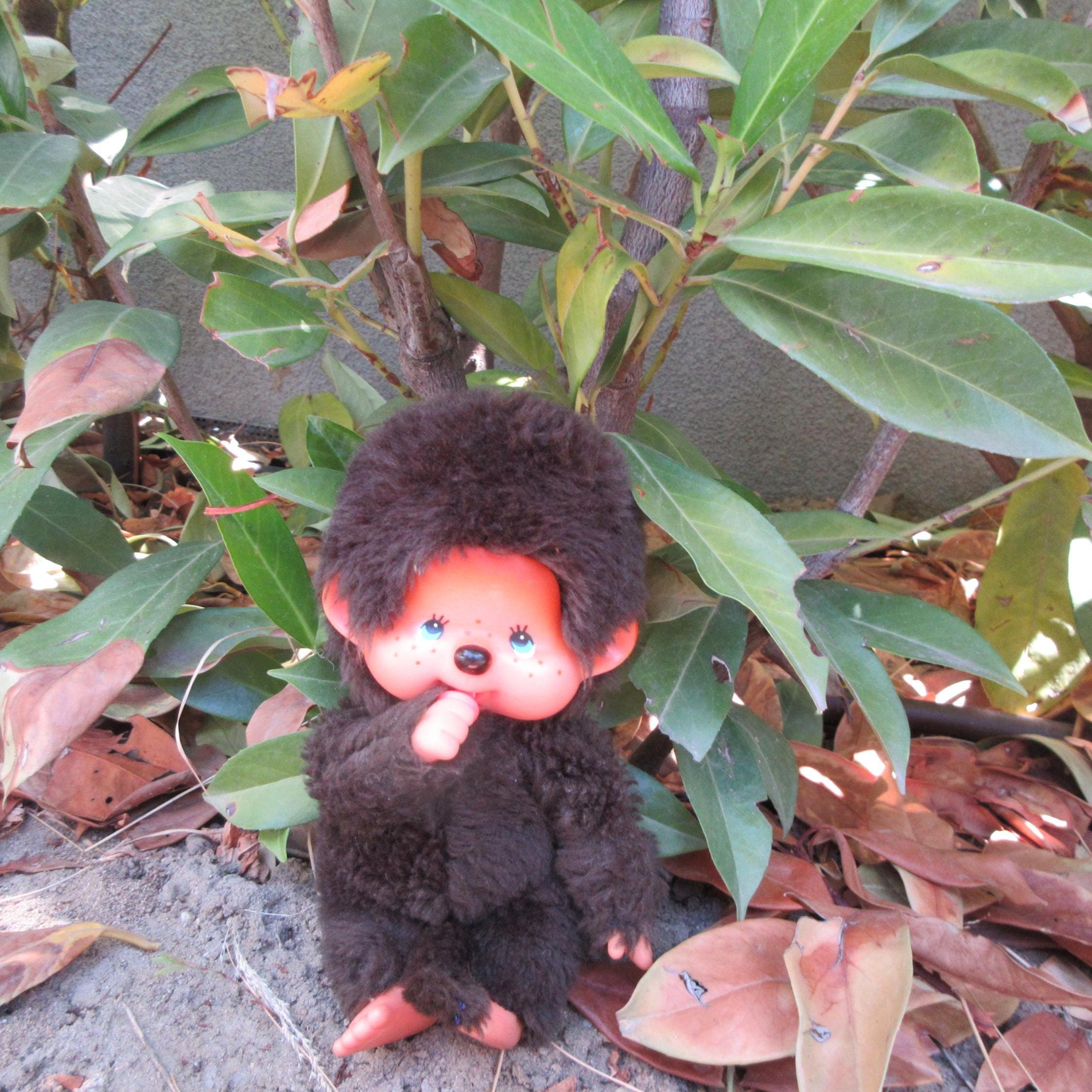 Sekiguchi 1974 Monchhichi - Etsy