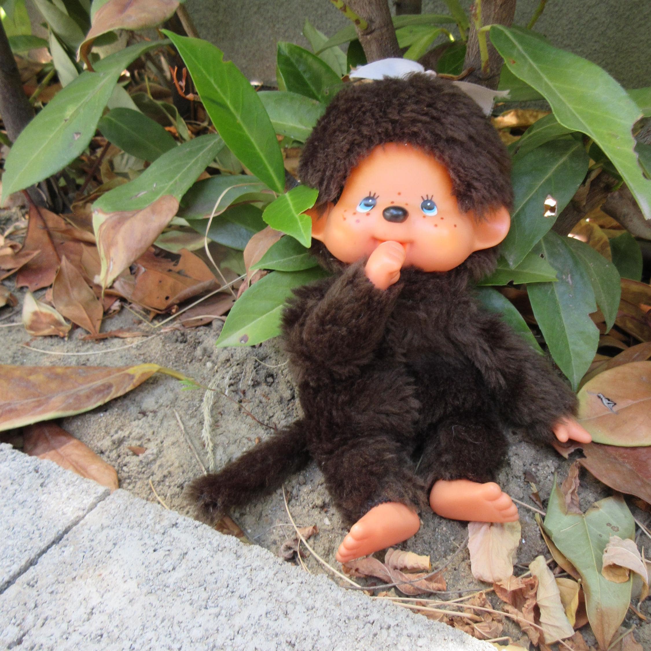 Sekiguchi 1974 Monchhichi - Etsy
